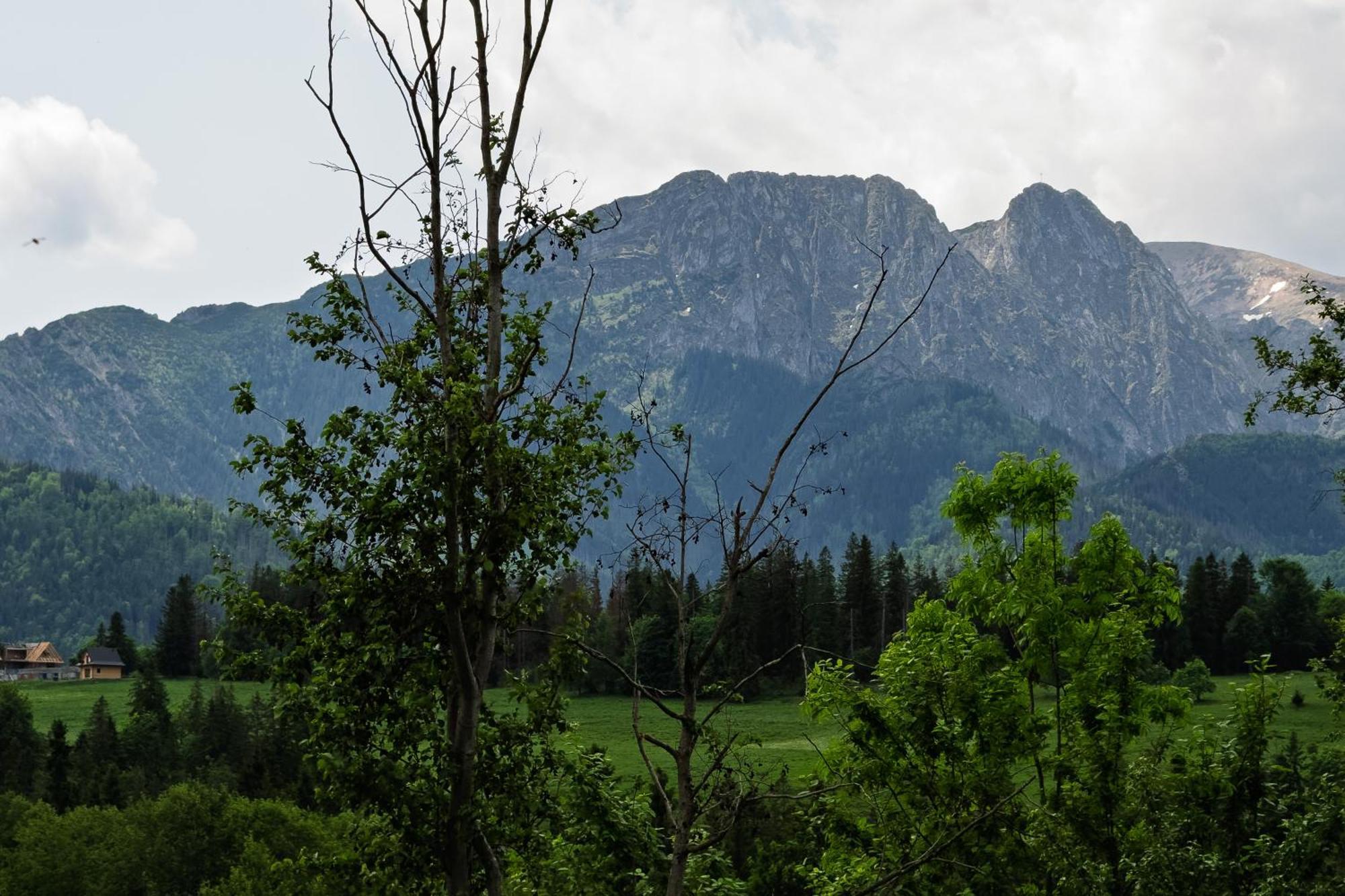 Apartamenty Bachledzki Wierch Zakopane Esterno foto